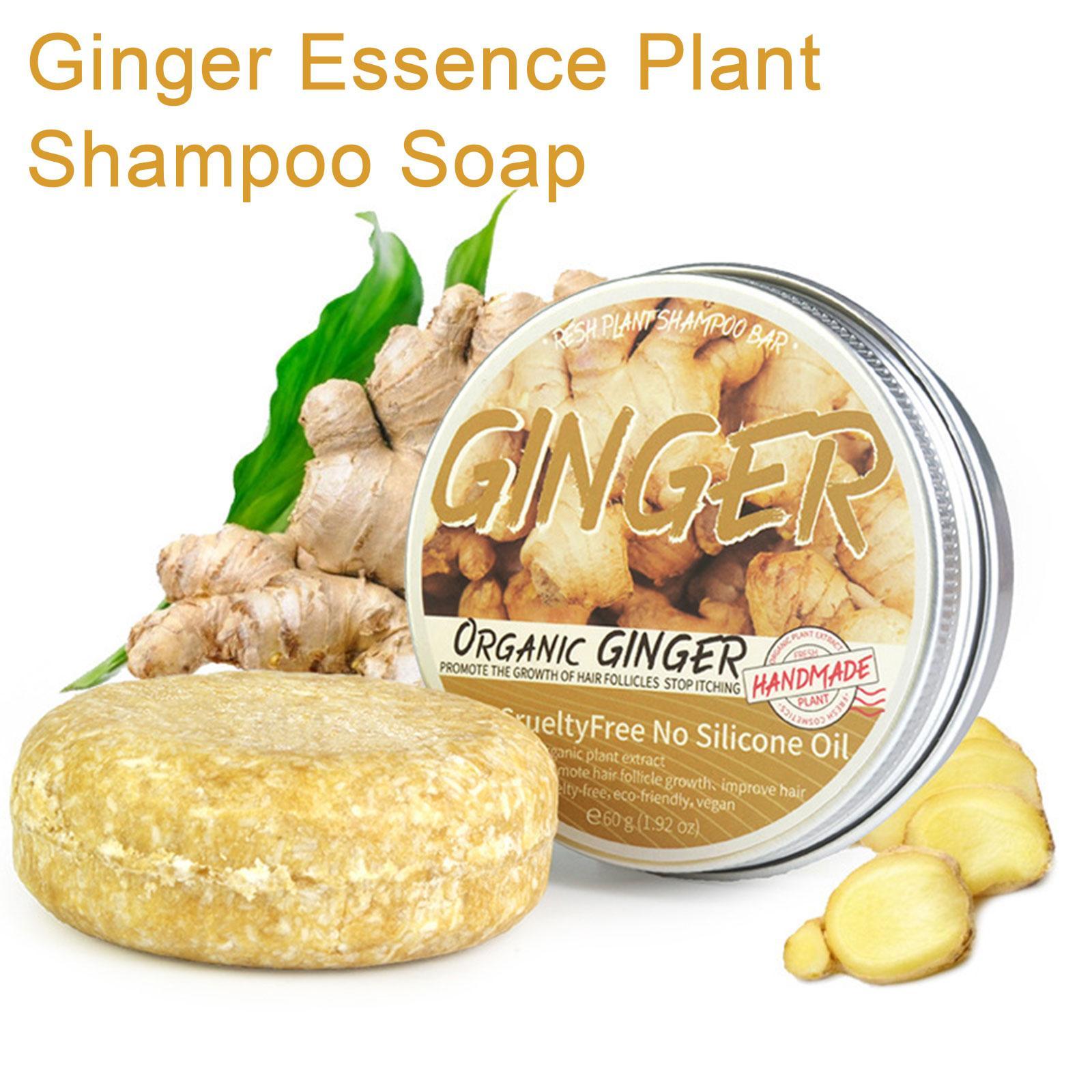 Gember Polygonum Zeep Shampoo  - Hair Care Organic recensie en prijs